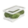 IDesign ID Fresh Large Rectangle Produce Storage Bowl