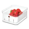 Interdesign Crisp Berry Bin 1 Interdesign Crisp Berry Bin -OXO shop interdesign interdesign crisp berry bin